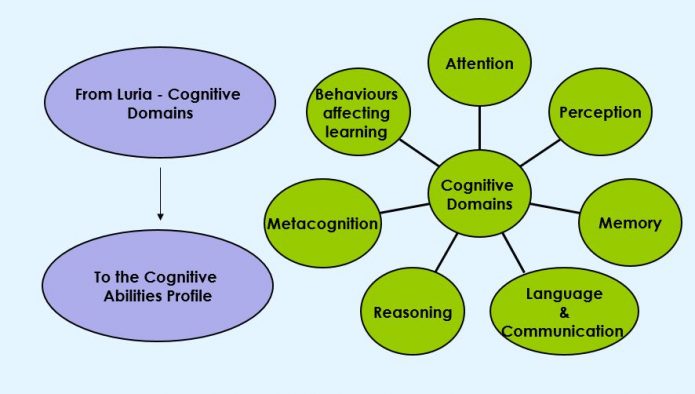 Cognitive Abilities Profile - Dynamic Assessment